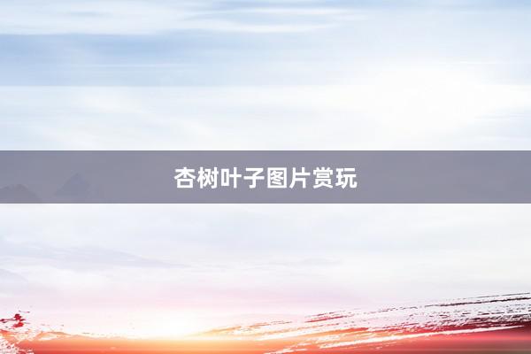杏树叶子图片赏玩